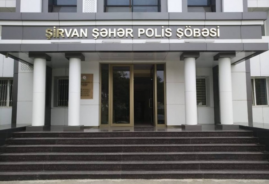 Şirvanda kultivasiya yolu ilə yetişdirilmiş çətənə kolları aşkarlanaraq götürülüb
