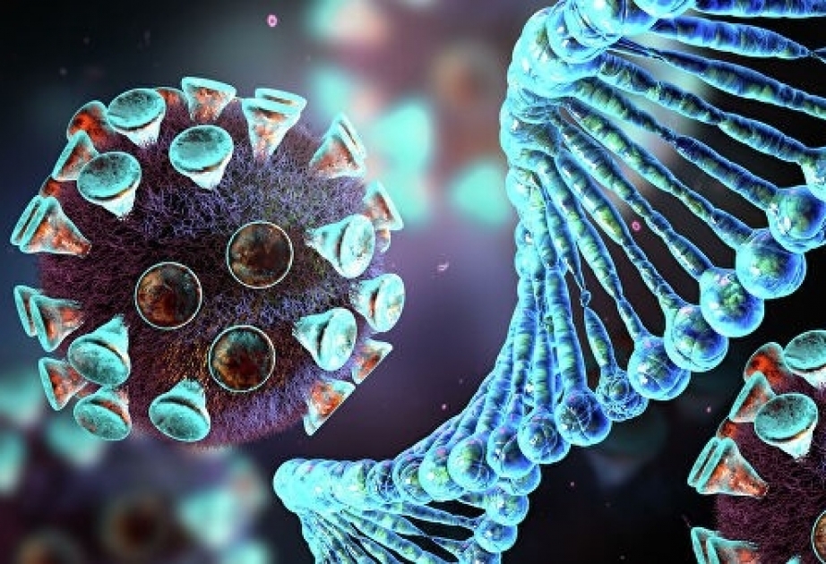 Ученые обнаружили 28 нейтрализующих коронавирус антител