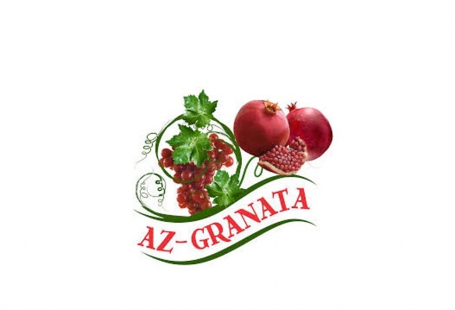 Ağsuda sənaye məhsullarının istehsalı 3,3 dəfə artıb