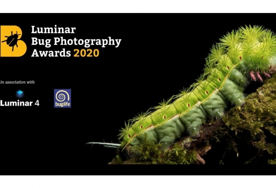 الإعلان عن مسابقة "لومينار بوغ" للتصوير الفوتوغرافي