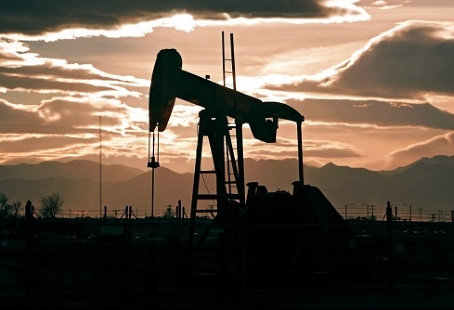 Keçən il OPEC-ə üzv ölkələrdən neft istehsalı ən çox İran və Venesuelada azalıb