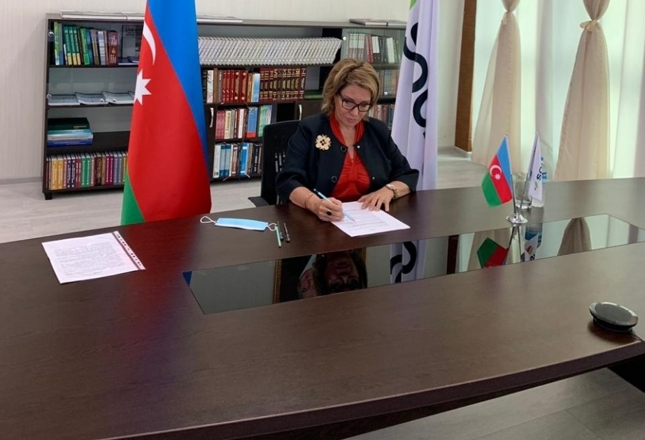 Vicepresidenta de SOCAR asiste a la reunión online del Comité Directivo del GGFR