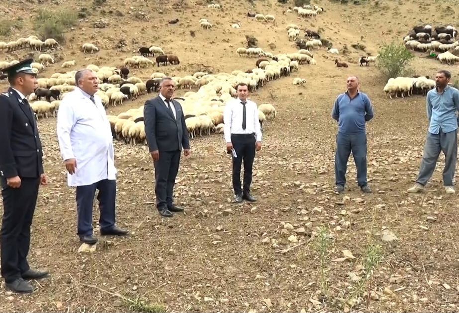 Culfanın Dəmirli yaylağında sahibkarlarla görüş olub