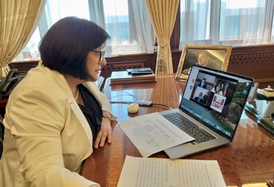 Milli Məclisin deputatı Sahibə Qafarova videokonfrans formatında seçicilərin növbəti qəbulunu keçirib