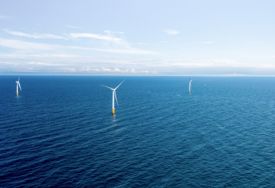 В Южной Корее построят крупнейшую в мире плавучую морскую ветряную электростанцию