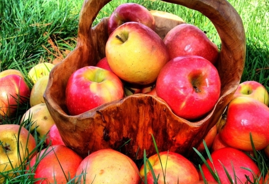 Aserbaidschan exportiert im ersten Halbjahr mehr als 14.000 Apfel weniger als im Vorjahr