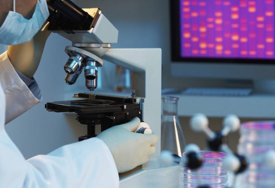 Alimlər qocalma prosesinin başlıca mexanizmlərini müəyyənləşdiriblər