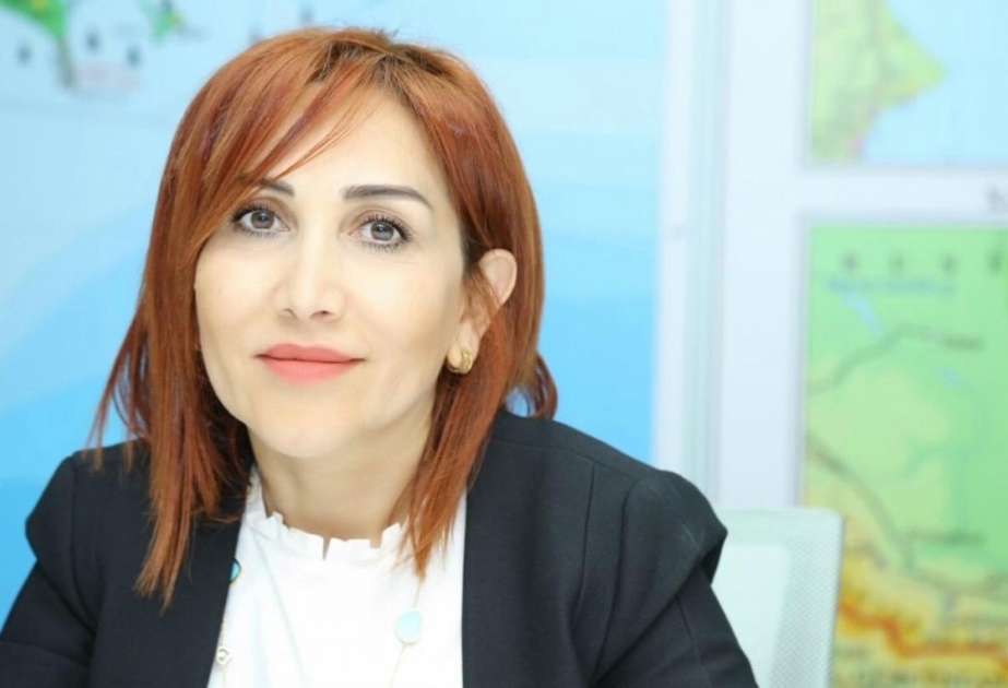 Tikinti işləri dayandırılıb