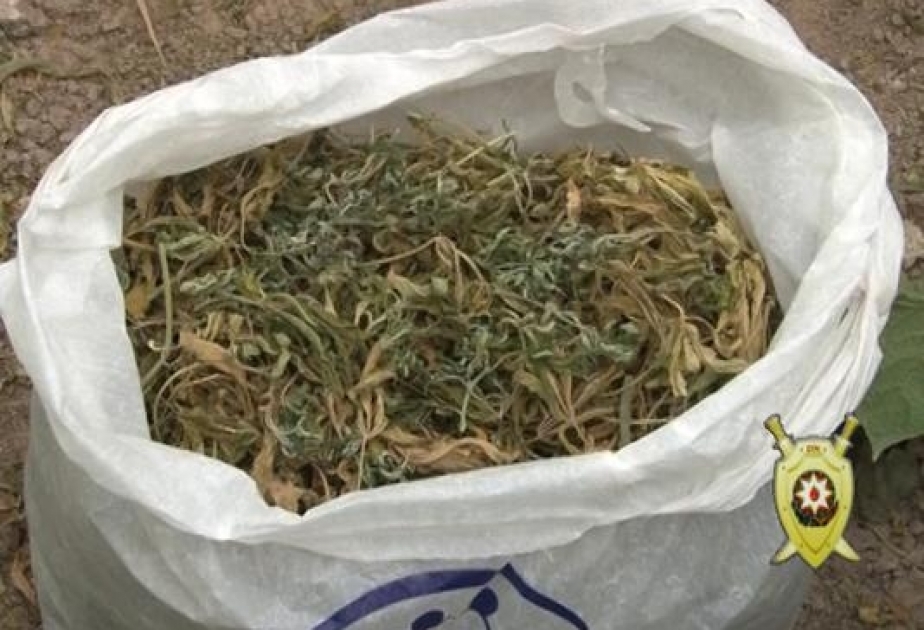 Narkotik vasitələrin qanunsuz dövriyyəsində şübhəli bilinən Siyəzən sakini saxlanılıb