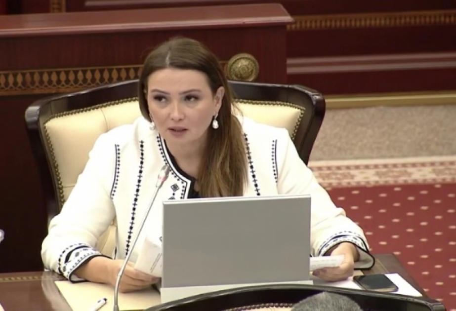 Qənirə Paşayeva: Ermənistanın hərbi təxribatı beynəlxalq təşkilatlar tərəfindən birmənalı şəkildə pislənildi