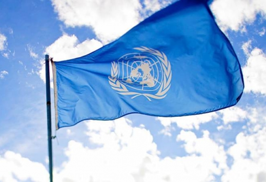 ООН: в посткороновирусную эпоху приоритетными вопросами будут социальная защита населения и охрана окружающей среды