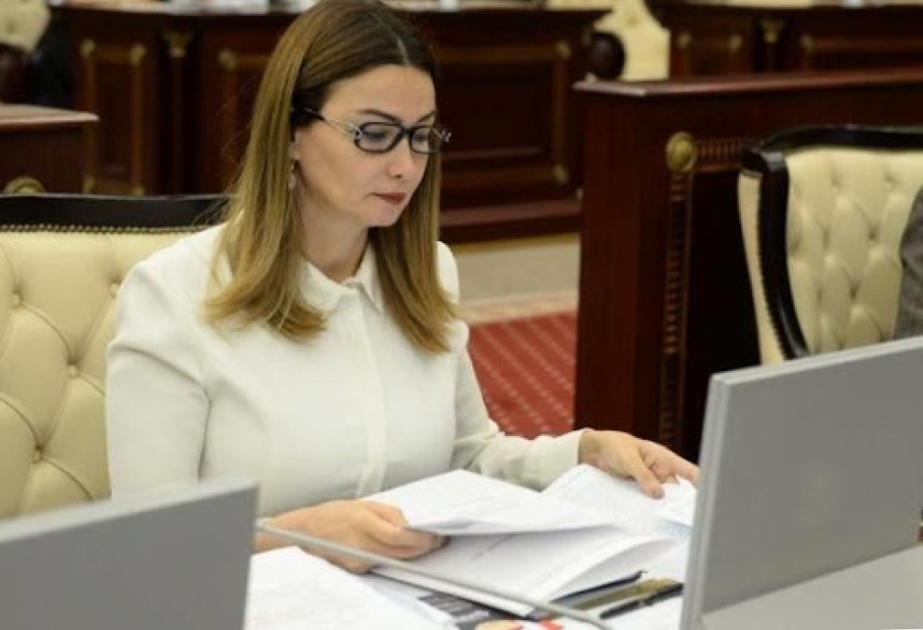 Qənirə Paşayeva: Ermənistanın təxribatçı hərəkətlərinə hüquqi qiymət verilməlidir