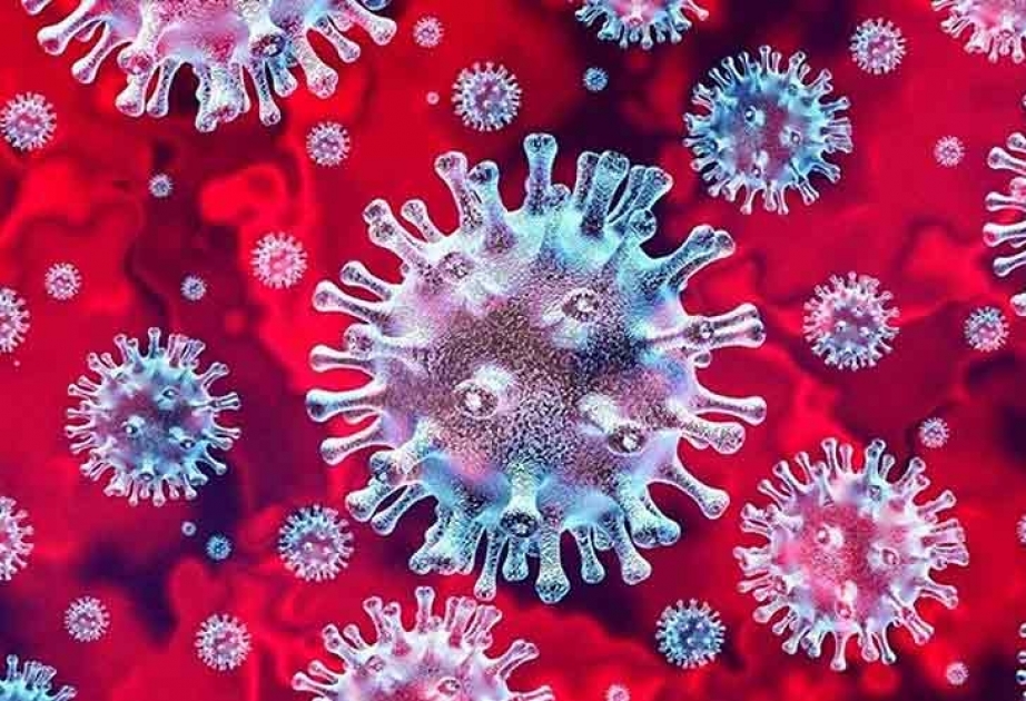 India con otro récord de nuevos infectados de la Covid-19