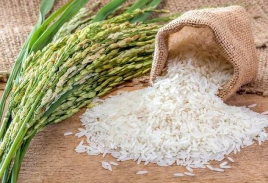 Les importations azerbaïdjanaises de riz ont augmenté