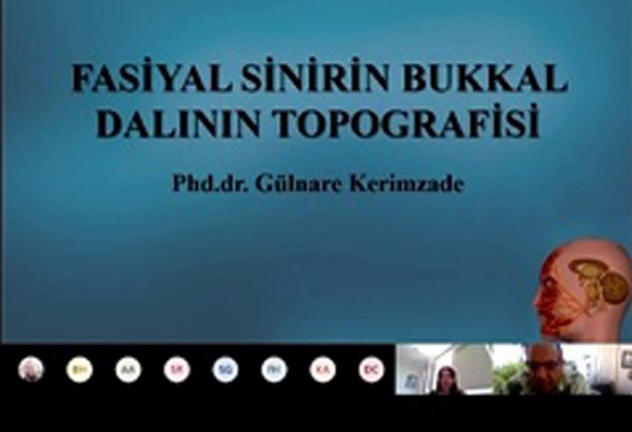 Tibb Universitetinin insan anatomiyası və tibbi terminologiya kafedrası beynəlxalq konqresdə uğurla təmsil olunub