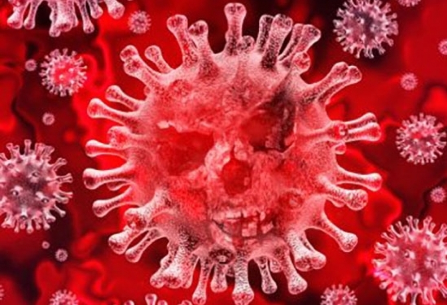 La semana pasada 3717 personas se recuperaron del coronavirus en Azerbaiyán, se registraron 2529 nuevos casos de infección