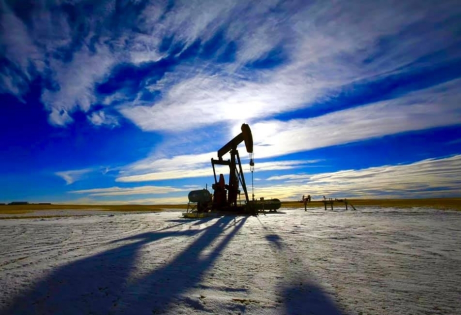 Les cours du pétrole terminent en diminution sur les bourses