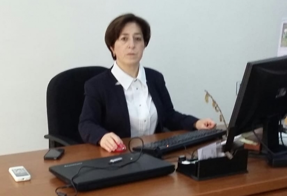 Göbələklər müasir dünyada