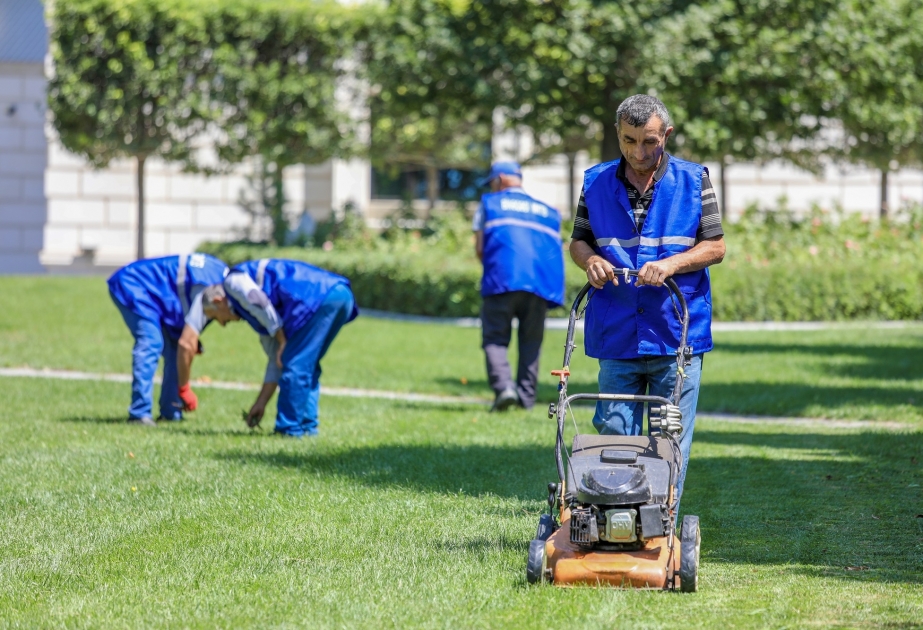 Ödənişli ictimai iş yerləri ilə təmin olunanların sayı artmaqda davam edir