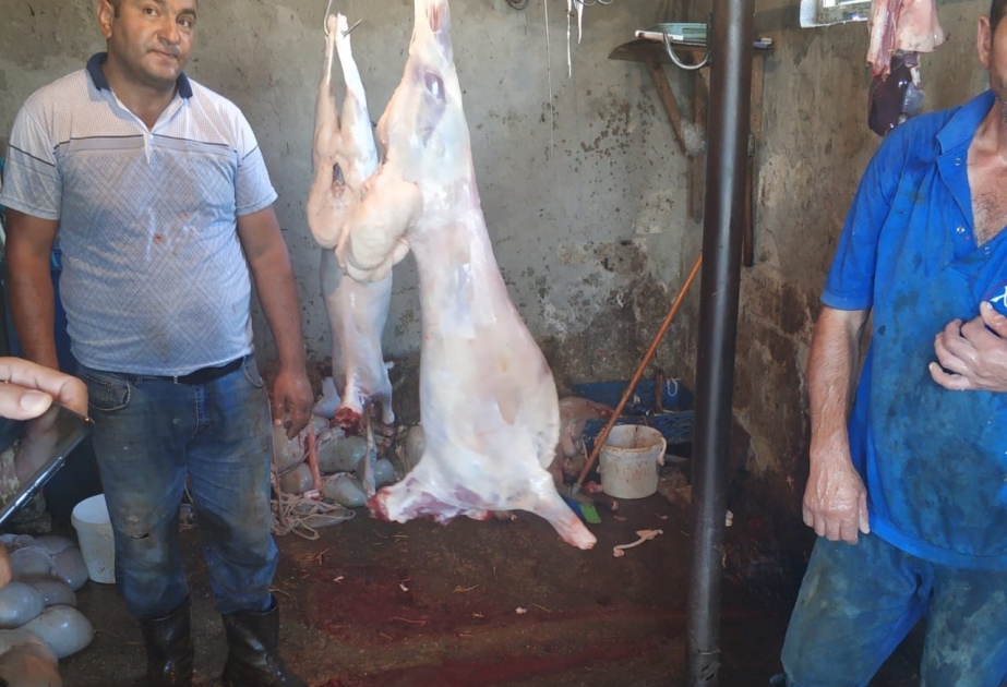 Saray qəsəbəsində qanunsuz ət kəsimi ilə məşğul olan şəxslər saxlanılıblar