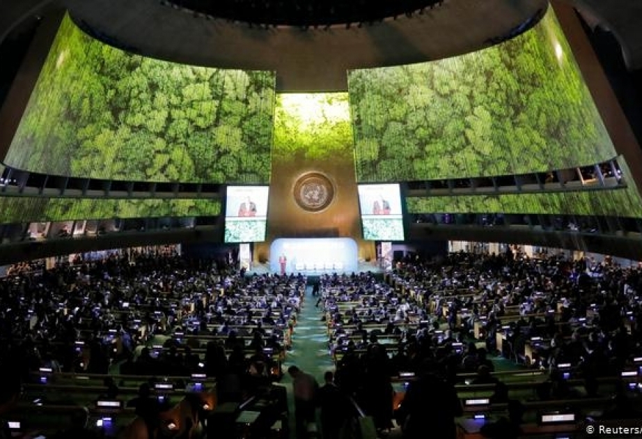 Anuncian Cumbre de ONU sobre Biodiversidad para septiembre próximo