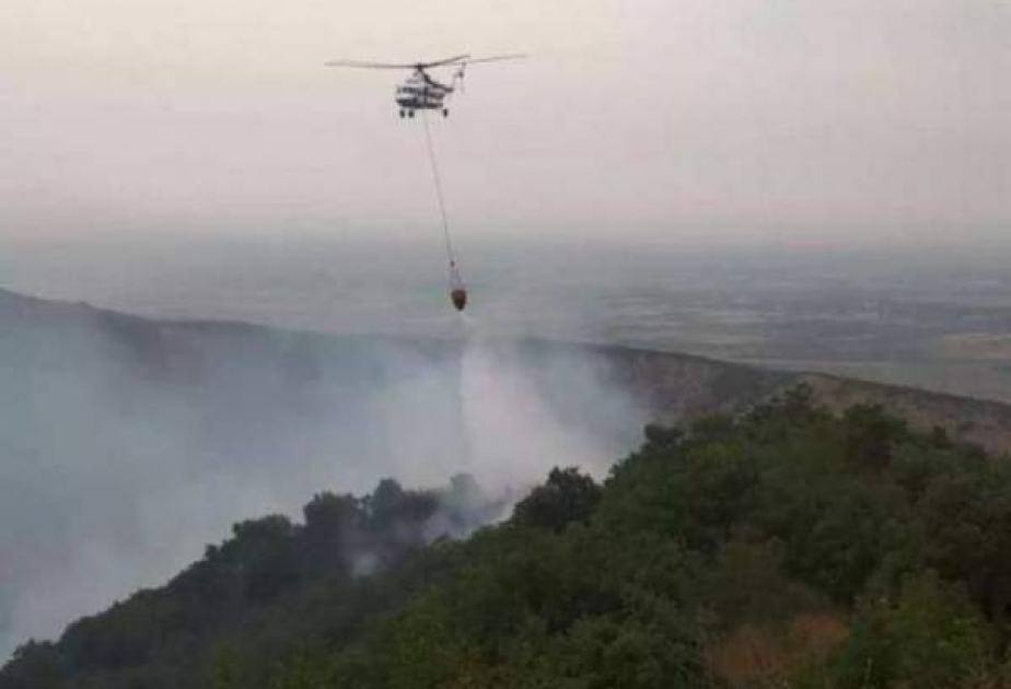 Siyəzən rayonunun Sədan kəndi yaxınlığında yanğın baş verib