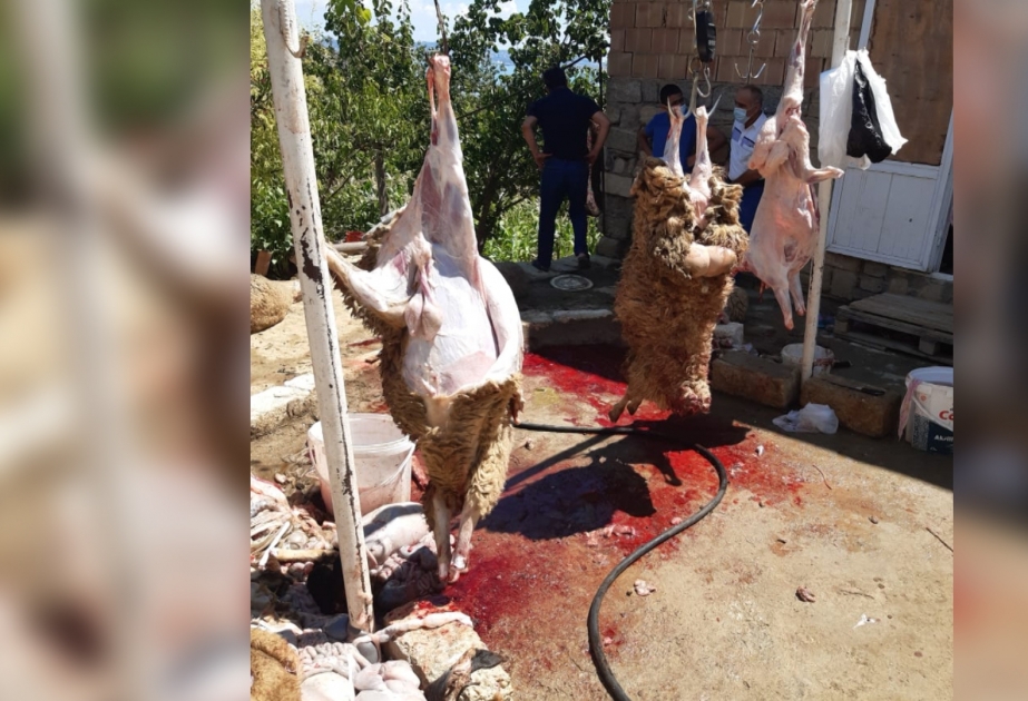Gizli fəaliyyət göstərən ət kəsimi məntəqələrinin aşkar edilməsi istiqamətində tədbirlər davam etdirilir
