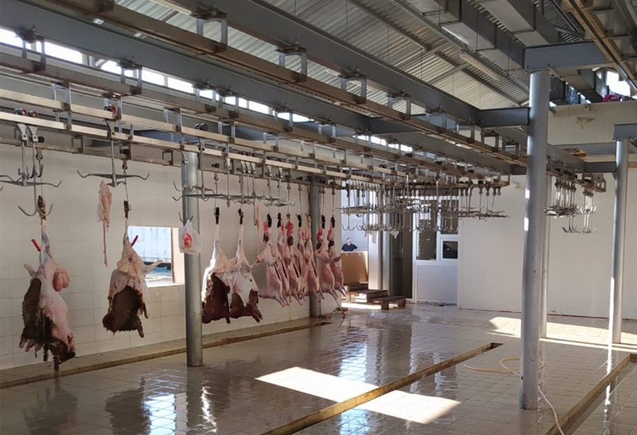 AQTA qurbanlıq heyvanların kəsiminin həyata keçirildiyi məntəqələrdə baytarlıq nəzarət tədbirlərini davam etdirir