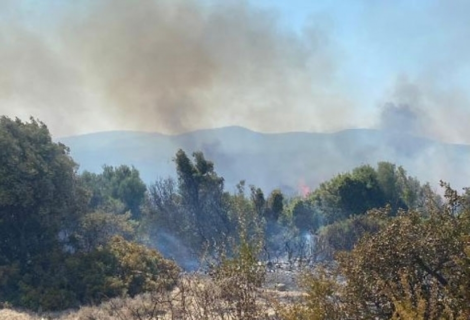 Türkei: 14 Waldbrände in elf Provinzen