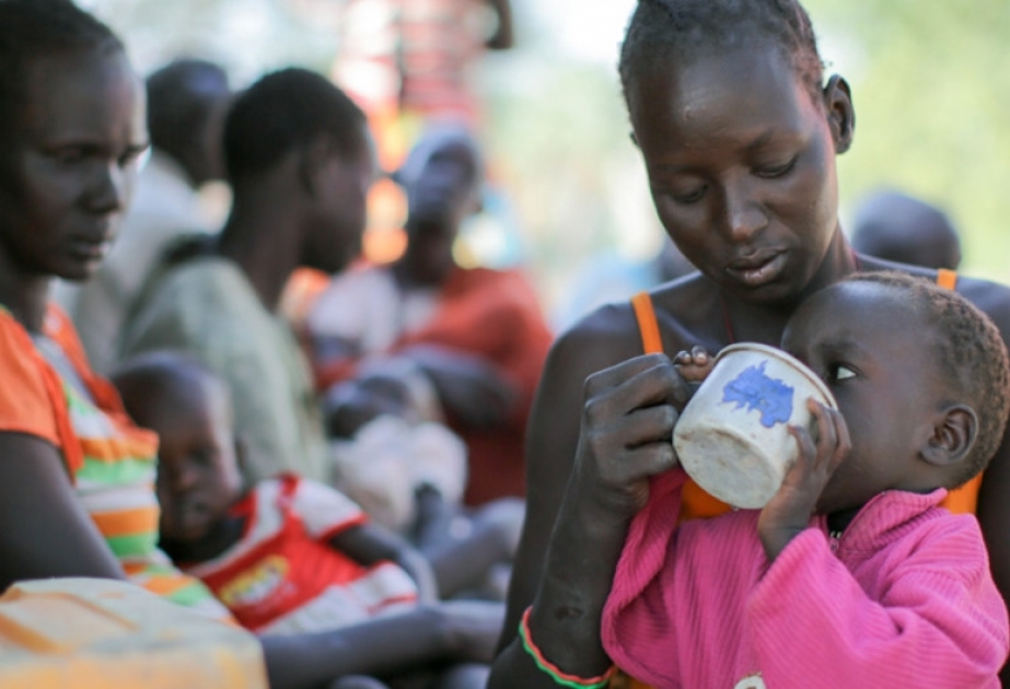 Afrikanın şərqində 50 milyondan çox insan aclıq təhlükəsi ilə üzləşəcək