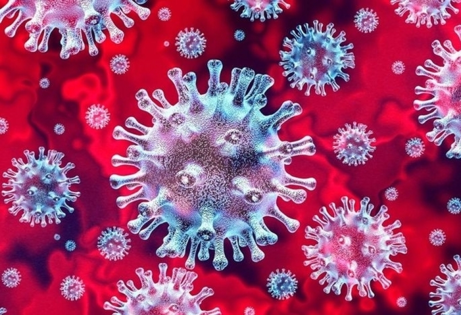 Le coronavirus a causé la mort de 691 mille personnes à travers le monde entier