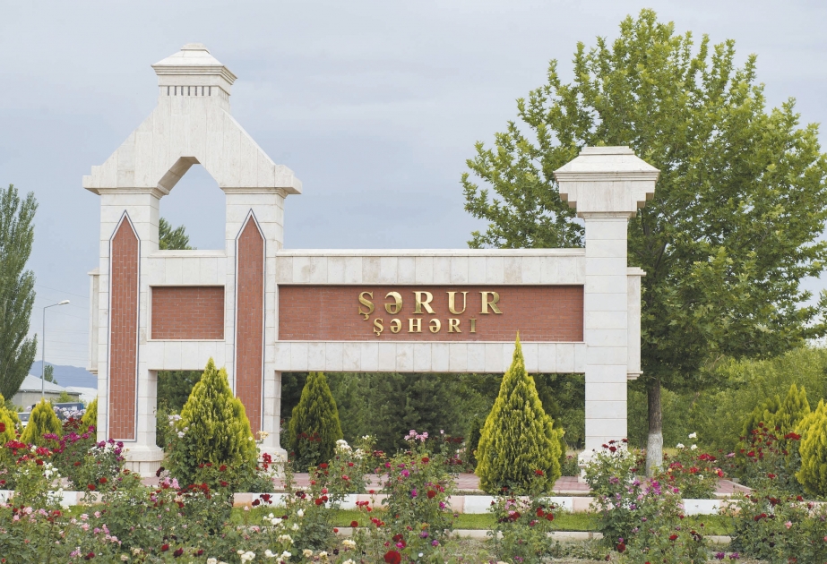 Şərur rayonunda 19 min 185 ton taxıl tədarük edilib
