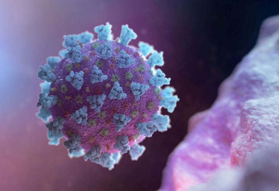 Almaniya koronavirus pandemiyasının ikinci dalğasının başlanğıcındadır