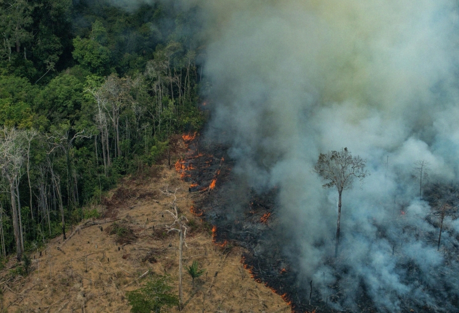Пожары в бразильской Амазонии в июле выросли на 28 проц