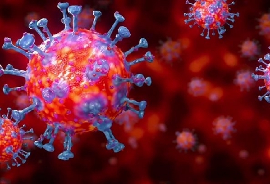 La semana pasada 4429 personas se recuperaron de coronavirus en Azerbaiyán