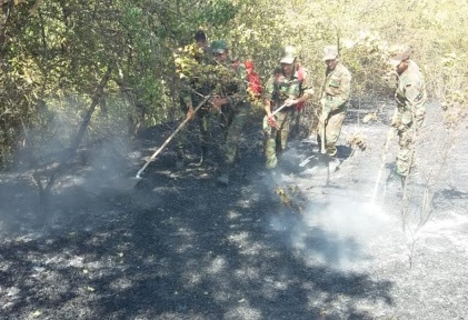 Cəlilabadda baş verən yanğın söndürülüb