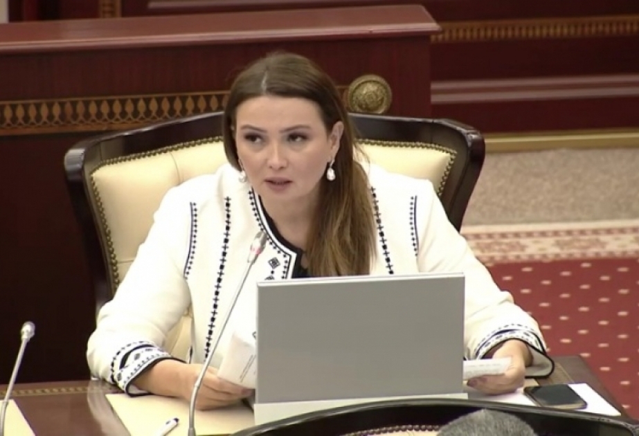 Koronavirusla mübarizədə müsbət dinamikanın əldə olunması düşünülmüş dövlət siyasətinin nəticəsidir
