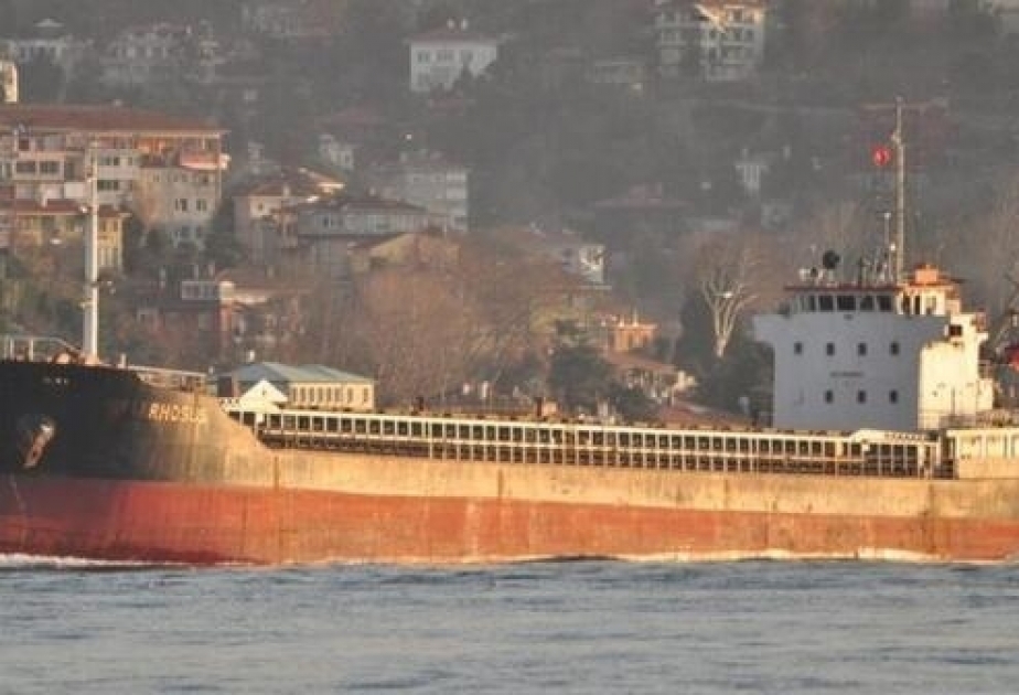 Beyrut limanında partlayışa səbəb olan gəmini Mozambik Gürcüstandan sifariş edib
