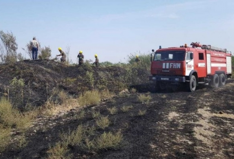 Qubada taxıl sahəsində baş verən yanğın söndürülüb