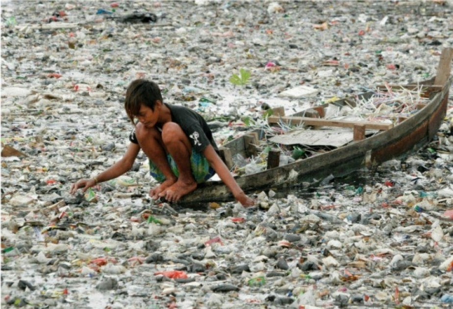 La plus grande « île aux déchets » du monde dans le Pacifique