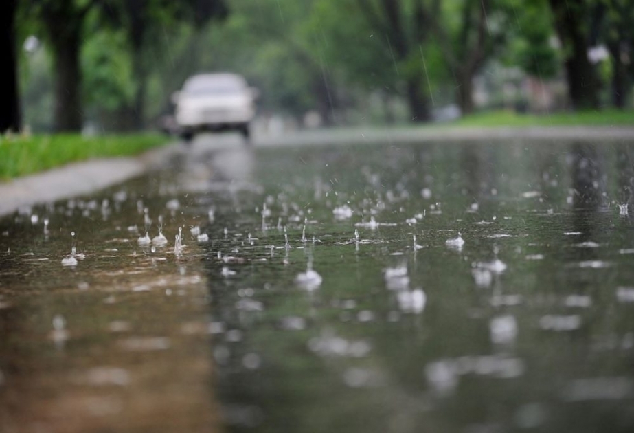 В среду в некоторых северных и западных районах прогнозируются дожди с грозами