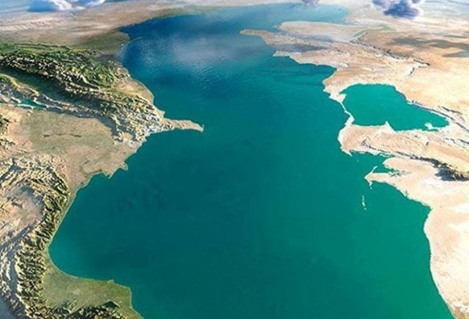 12 de agosto - Día de la Protección del Medio Ambiente Marino del Mar Caspio