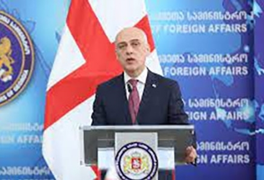 وزير الخارجية الجورجي: جورجيا ملتزمة لفكرة تحقيق مشروع ممر الغاز الجنوبي