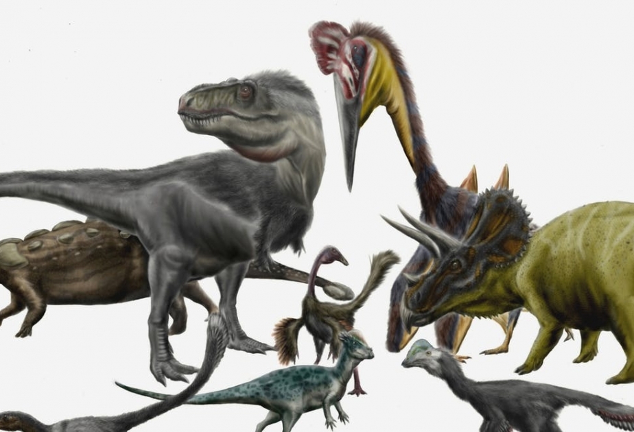 На востоке Китая обнаружены останки нового вида динозавров