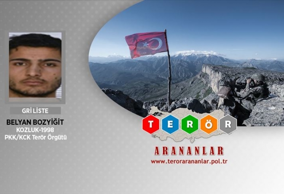 Türkiyədə axtarışda olan daha bir təhlükəli terrorçu məhv edilib