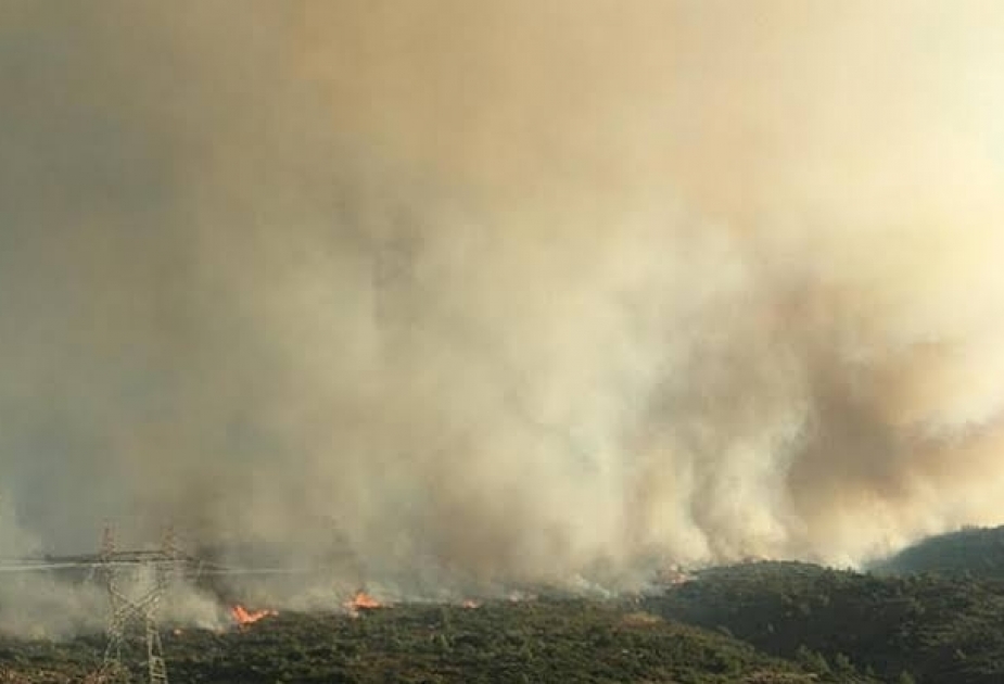 إخماد الحريق في منطقة تشيشمي التركية