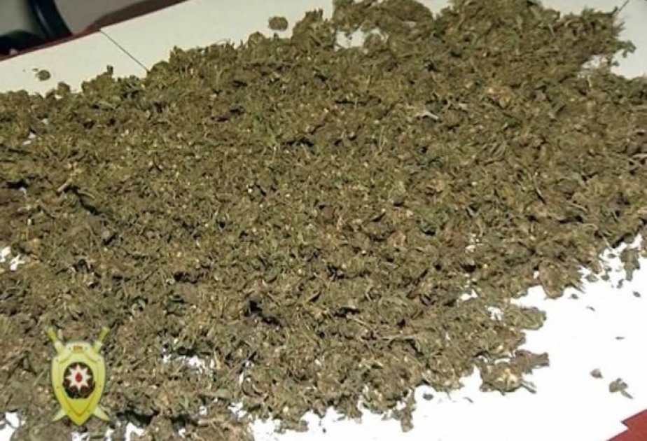 Ağdam rayon sakinindən 1,5 kiloqramdan çox marixuana aşkar edilib