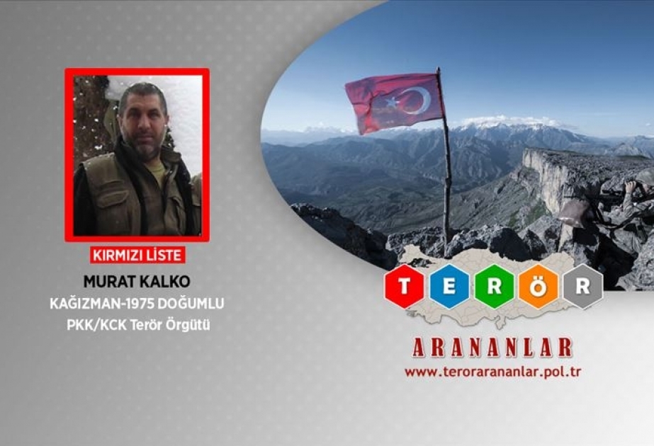 Axtarışda olan daha bir təhlükəli terrorçu İraqın şimalında məhv edilib