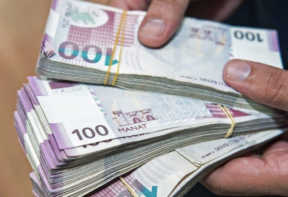 Pandemiyadan zərərçəkmiş fərdi sahibkarlara 12,3 milyon manatdan çox maliyyə dəstəyi göstərilib