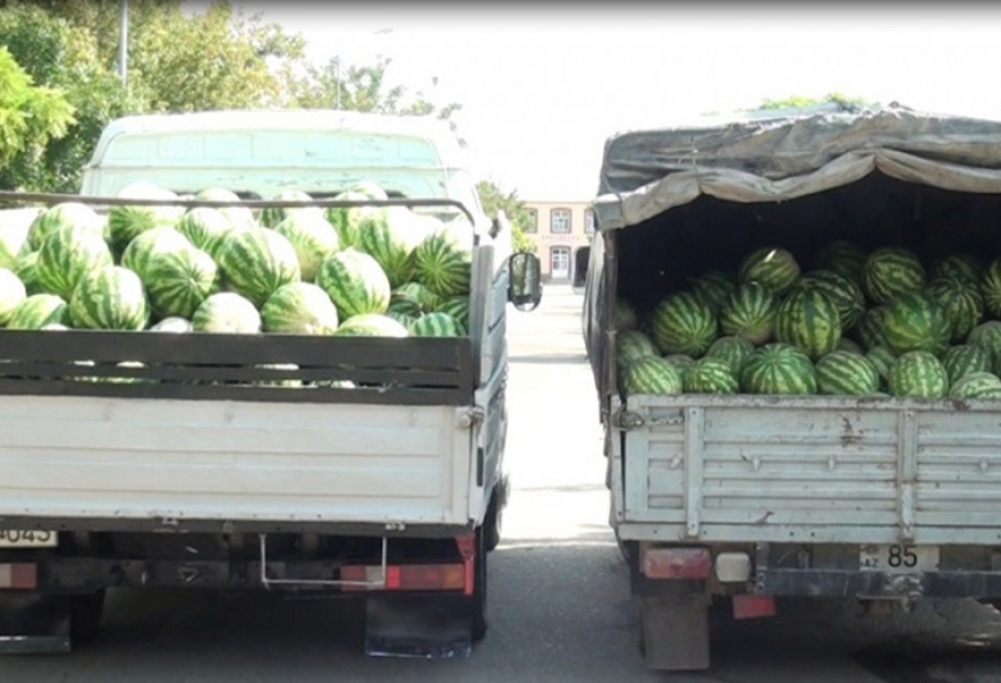 Naxçıvanlı sahibkarlar hərbi hissələrə sovqat aparırlar